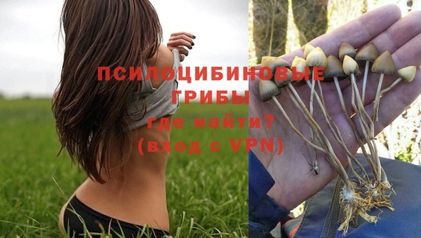 а пвп мука Горно-Алтайск