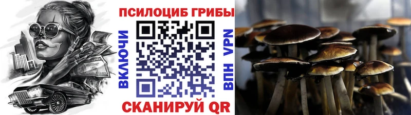 kraken зеркало  купить закладку  Наволоки  Галлюциногенные грибы Psilocybine cubensis 